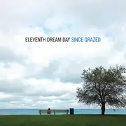 Double LP - Eleventh Dream Day - Since Grazed - Sealed