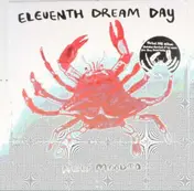 Eleventh Dream Day - NEW MOODIO