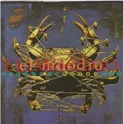 CD - Eleventh Dream Day - El Moodio