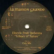 electric fruit orchestra - Echoes of Nature