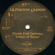 Electric Fruit Orchestra - Echoes of Nature