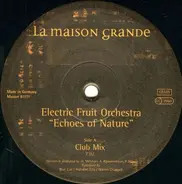 Electric Fruit Orchestra - Echoes of Nature