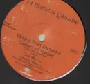 12'' - Electric Fruit Orchestra - Echoes Of Nature