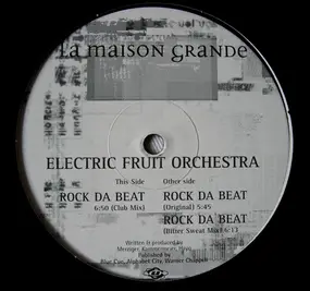 electric fruit orchestra - Rock Da Beat