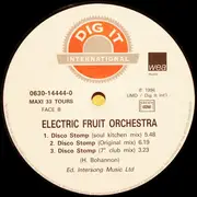 12inch Vinyl Single - Electric Fruit Orchestra - Disco Stomp