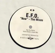 12inch Vinyl Single - Electric Fruit Orchestra - Now