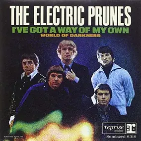 The Electric Prunes - I've Got A Way