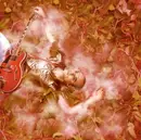 CD - ElectroniCAT - Voodoo Man