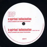 12'' - Edp - Spiritual Hallucination