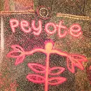 12'' - Edp - Spiritual Hallucination