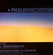 Electrosoul System - Goa