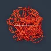 Elektro Guzzi - Observatory