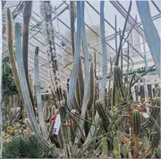 LP - Element Of Crime - Morgens Um Vier