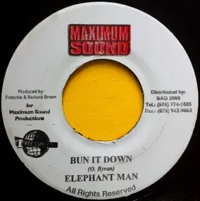 Elephant Man - Bun It Down