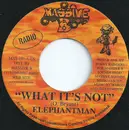 7inch Vinyl Single - Elephant Man - What It's Not