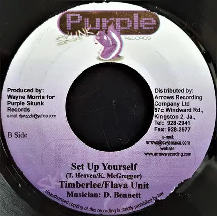Elephant Man / Timberlee & Flava Unit - Famous People / Set Up Yourself