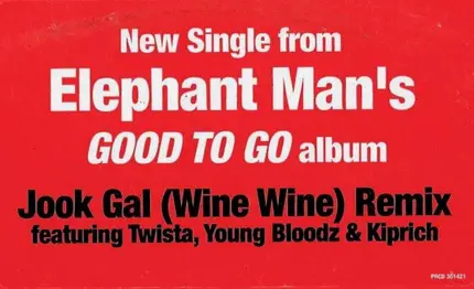 Elephant Man - Jook Gal (Remixes)