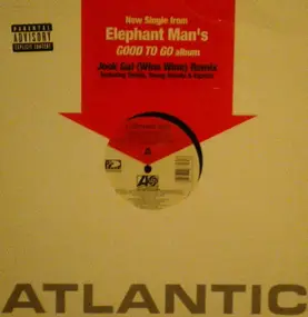 Elephant Man - Jook Gal (Remixes)