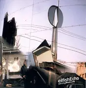 CD - Elfish Echo - Strong Medicine