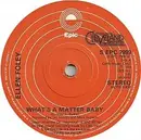 7inch Vinyl Single - Ellen Foley - What's A Matter Baby