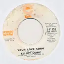 7inch Vinyl Single - Elliot Lurie - Your Love Song