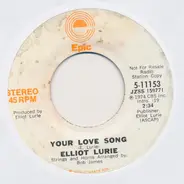 Elliot Lurie - Your Love Song