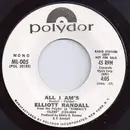 7inch Vinyl Single - Elliott Randall - All I Am's