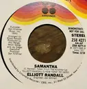 7inch Vinyl Single - Elliott Randall - Samantha