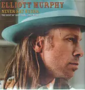 Elliott Murphy