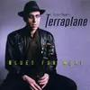 Double CD - Elliott Sharp's Terraplane - Blues For Next