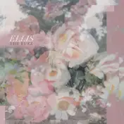 Ellis - Fuzz