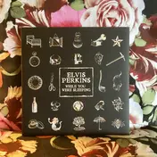 elvis perkins - While You Were Sleeping
