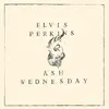 LP - Elvis Perkins - Ash Wednesday - Still sealed
