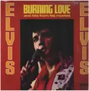 LP - Elvis Presley - Burning Love And Hits From His Movies Vol. 2 - DYNAFLEX