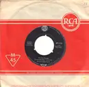 7inch Vinyl Single - Elvis Presley - One Night - Original German, Company Sleeve
