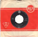 7inch Vinyl Single - Elvis Presley - A Big Hunk O' Love - Original German, Company Sleeve