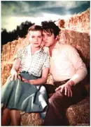 magazin - Elvis Presley - Graceland Ausgabe 168