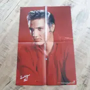 Double LP - Elvis Presley - The Complete Sun Sessions - Gatefold with poster