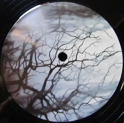 Emad Parandian - Marangai Waikawa/ Scud