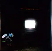 Emeralds - Does It Look I'm Here