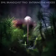 Emil Brandqvist Trio - Entering The Woods