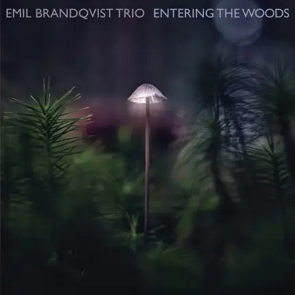 Emil Brandqvist Trio - Entering The Woods