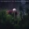 LP - Emil Brandqvist Trio - Entering The Woods