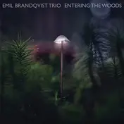 Emil Brandqvist Trio - Entering The Woods
