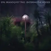 LP - Emil Brandqvist Trio - Entering The Woods