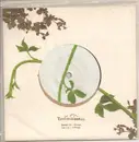 7inch Vinyl Single - Emiliana Torrini - Lifesaver - Ltd Ed