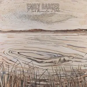 Emily Barker - A Dark Murmuration Of..