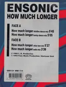 12inch Vinyl Single - EN-Sonic - How Much Longer