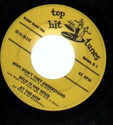 Enoch Light Orchestra / The Hi-Fi's / Jim Richards / Loren Becker / Hal Willis - Top Hit Tunes