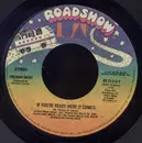 7'' - Enchantment - If You're Ready (Here It Comes)